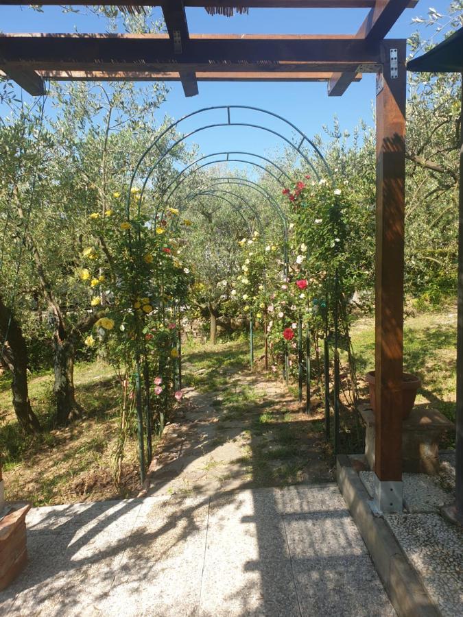 Casa Vacanze L'Oliveta Siena Bagian luar foto