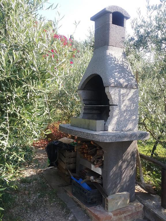 Casa Vacanze L'Oliveta Siena Bagian luar foto