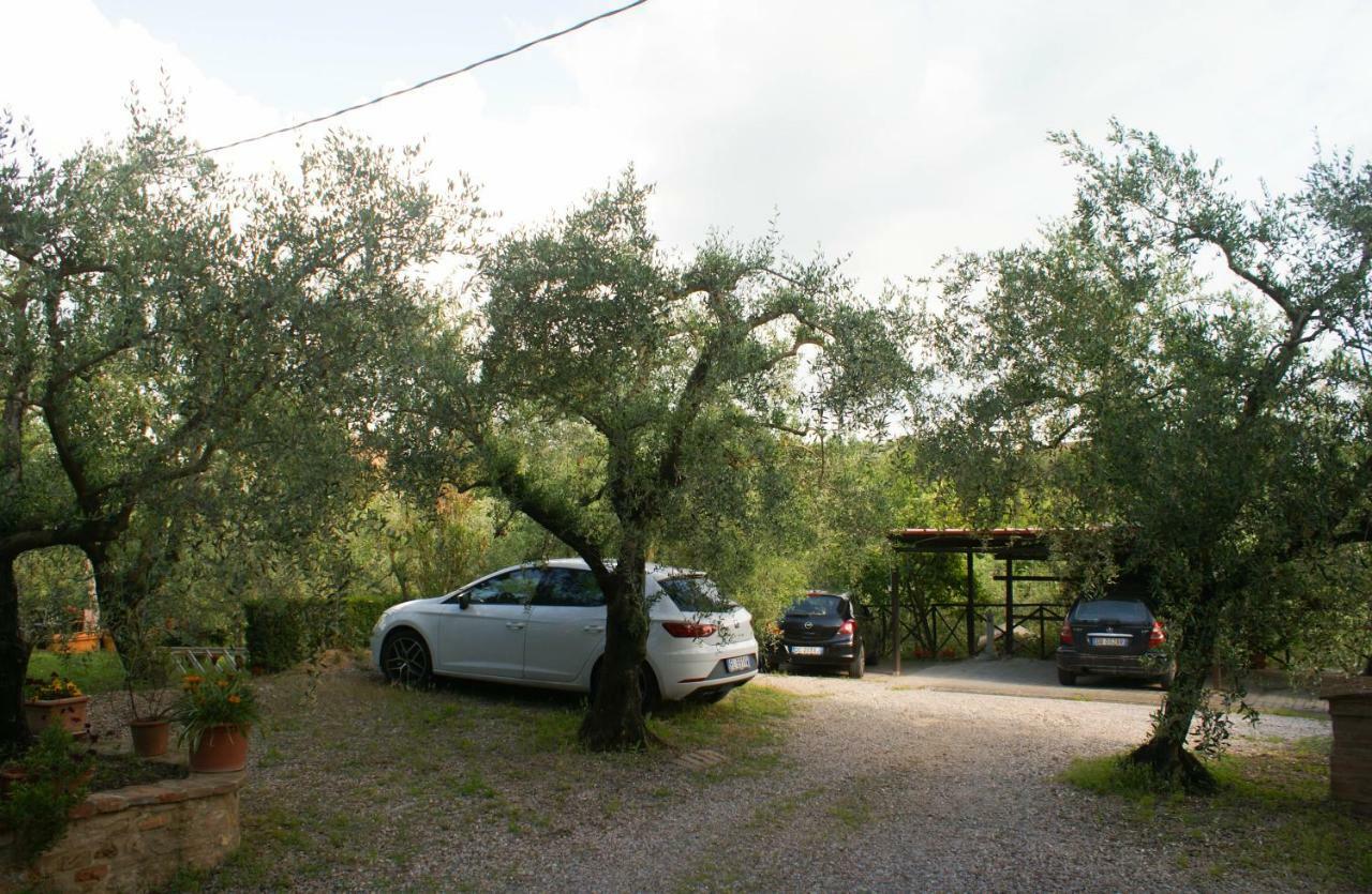 Casa Vacanze L'Oliveta Siena Bagian luar foto