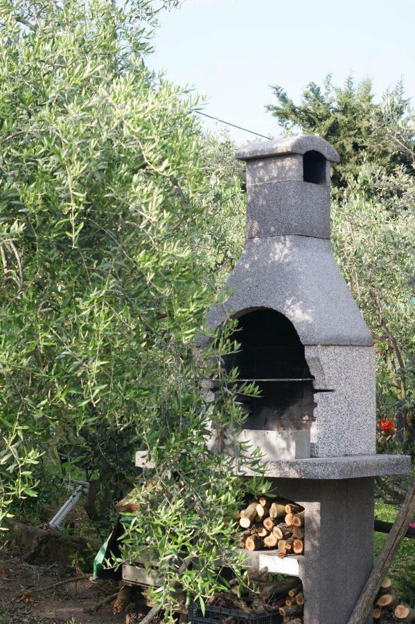 Casa Vacanze L'Oliveta Siena Bagian luar foto