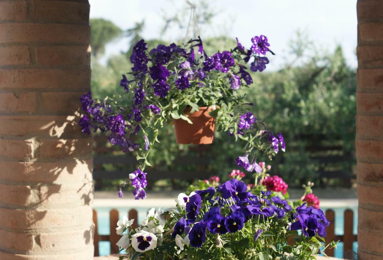 Casa Vacanze L'Oliveta Siena Bagian luar foto