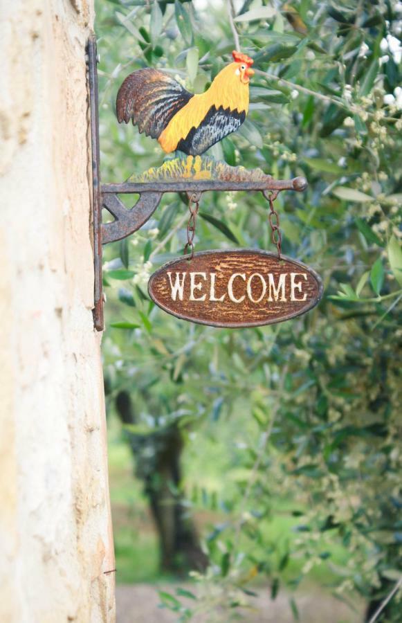 Casa Vacanze L'Oliveta Siena Bagian luar foto